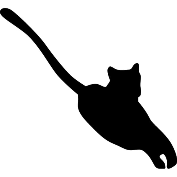 Big Cat  Tiger  Lion  Panther 27 Thumbnail