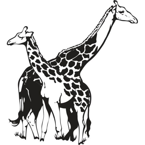 Giraffe2 Thumbnail
