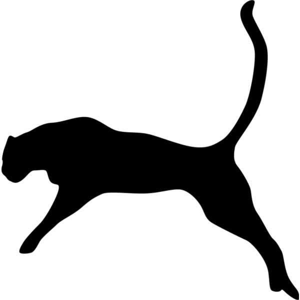 Big Cat  Tiger  Lion  Panther 28 Thumbnail