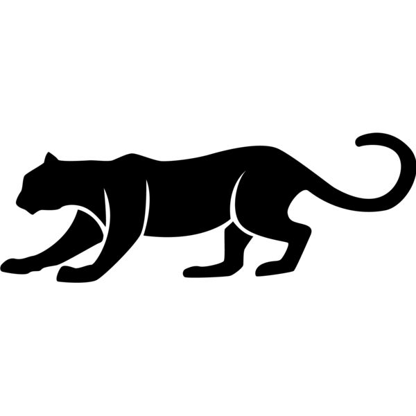 Big Cat  Tiger  Lion  Panther 11 Thumbnail