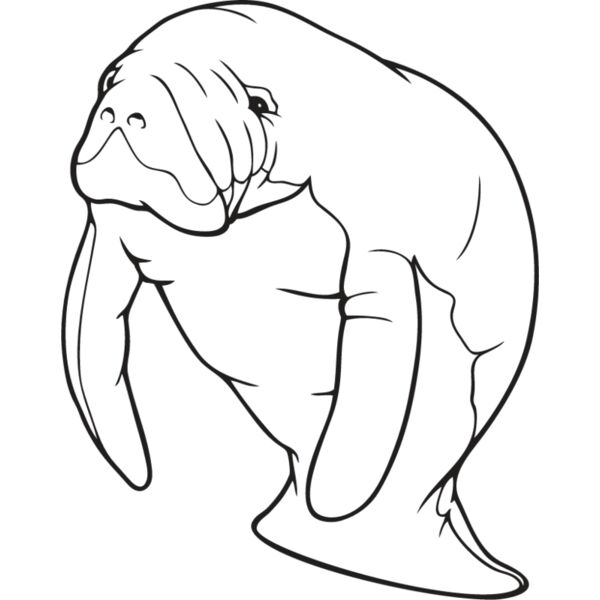 Manatee Thumbnail