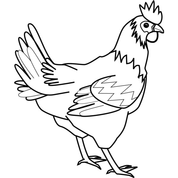 Chicken1 Thumbnail