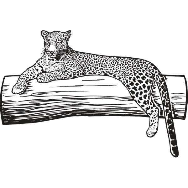 Leopard Thumbnail