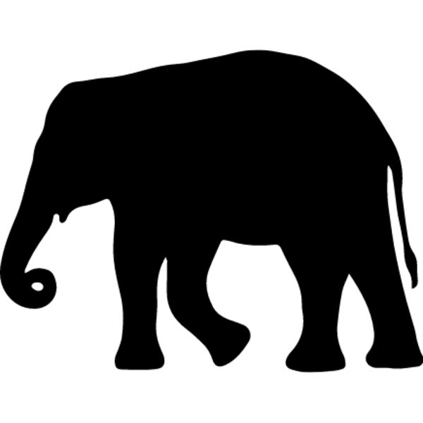 Elephant8 Thumbnail