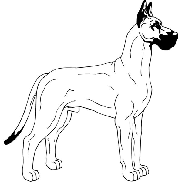 Great Dane1 Thumbnail
