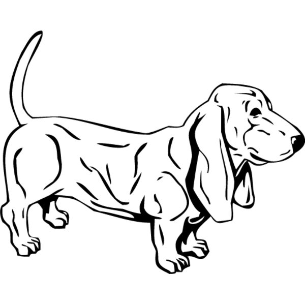 Dachshund5 Thumbnail
