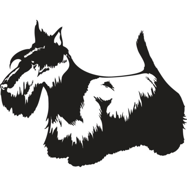 Scottish Terrier2 Thumbnail
