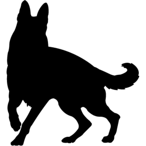 German Shepherd4 Thumbnail