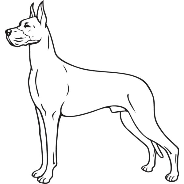 Great Dane2 Thumbnail