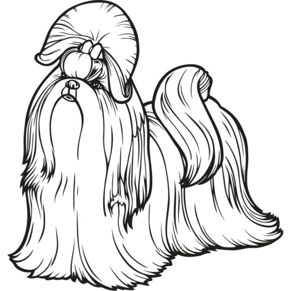 Shih Tzu3 Thumbnail