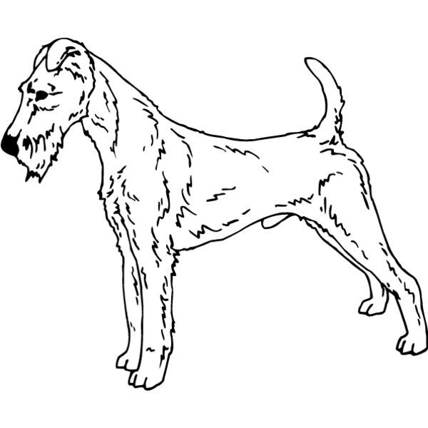 Irish Terrier Thumbnail