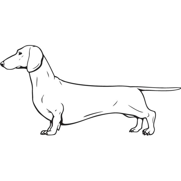 Dachshund2 Thumbnail