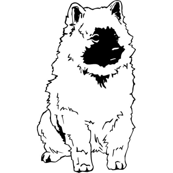 Keeshond Thumbnail