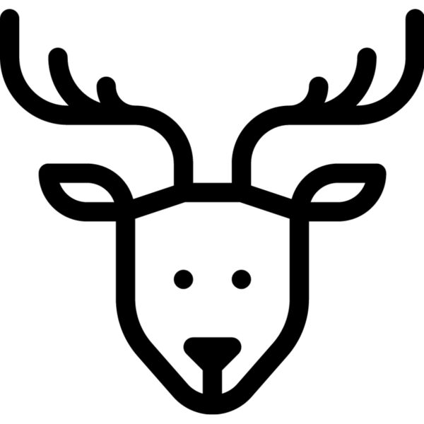 Reindeer1 Thumbnail