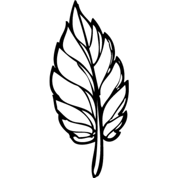 Leaf Line6 Thumbnail