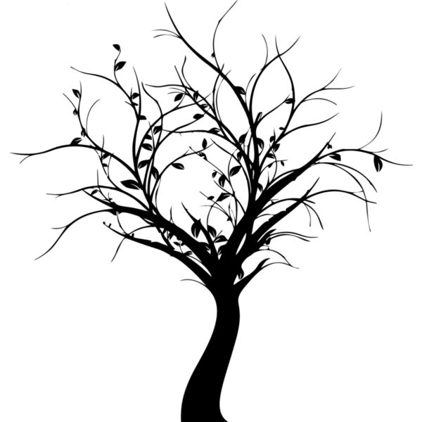 Bare Tree3 Thumbnail