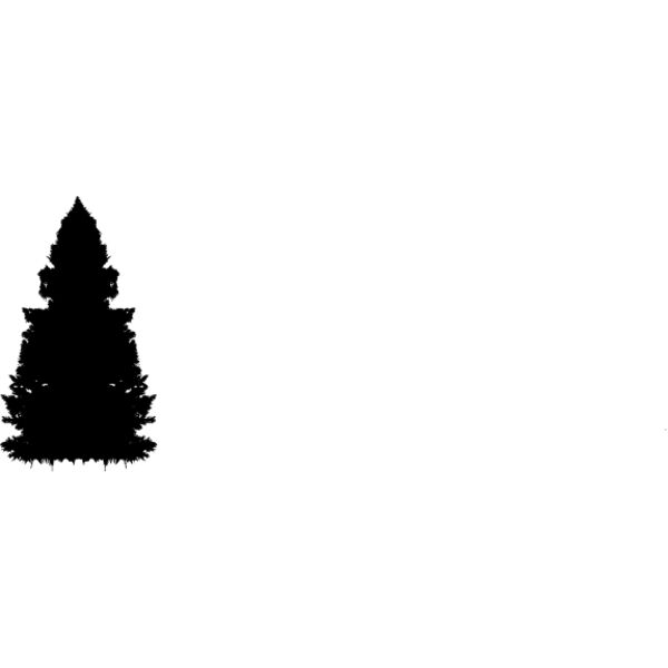 Pine Tree1 Thumbnail