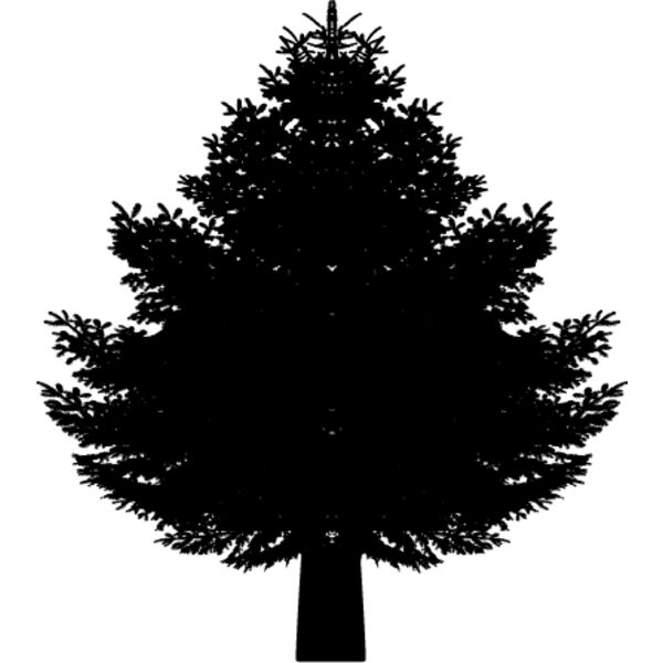 Pine Tree8 Thumbnail