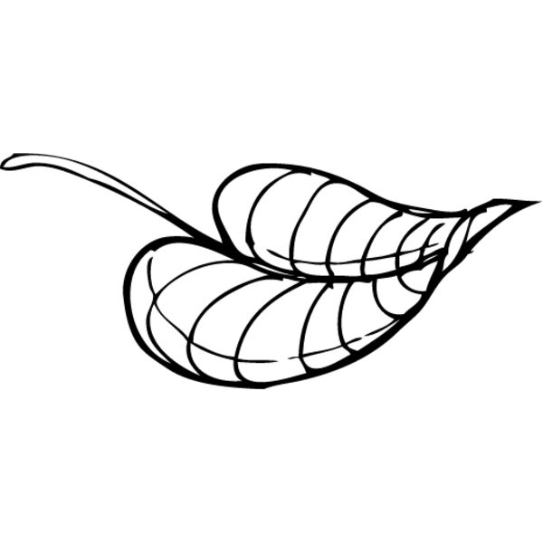 Leaf Line4 Thumbnail