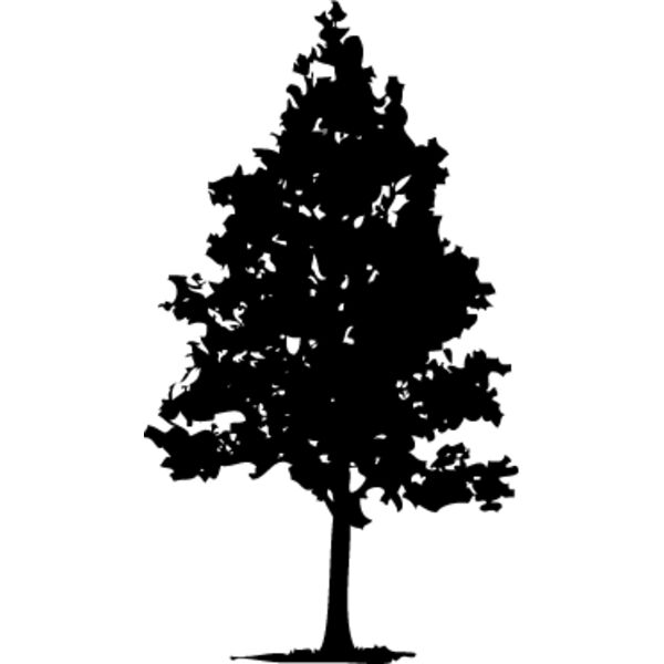 Trees Silhouette2 Thumbnail