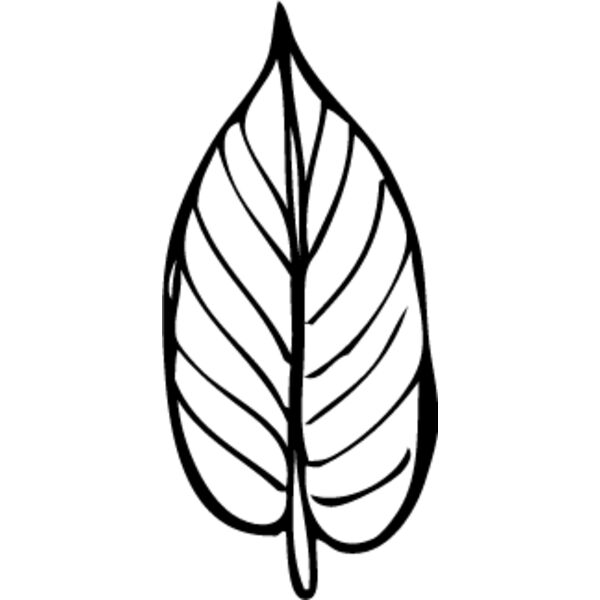 Leaf Line2 Thumbnail