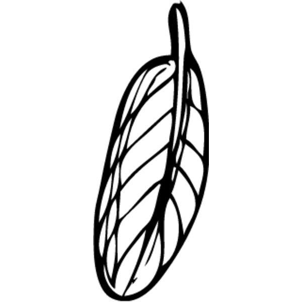 Leaf Line10 Thumbnail