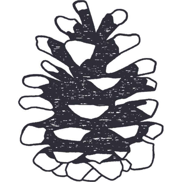 Pinecone Thumbnail
