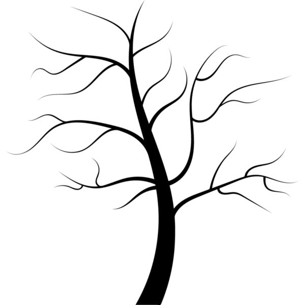 Bare Tree2 Thumbnail