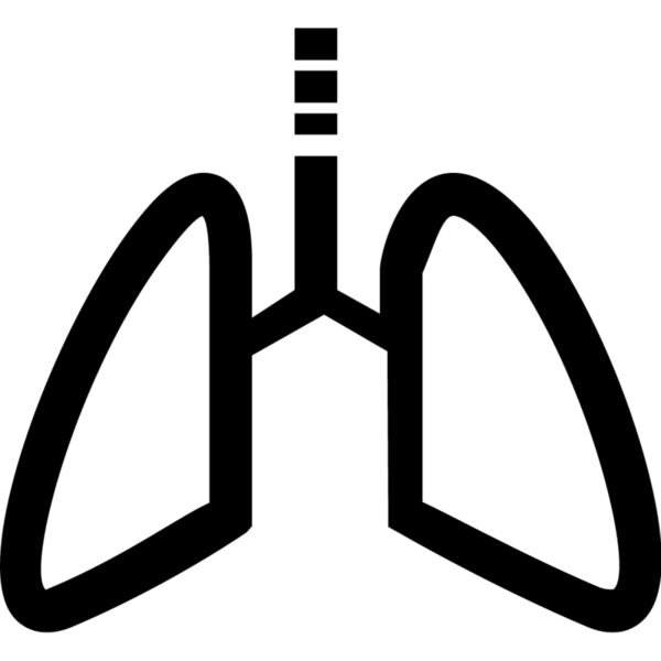 Lungs Thumbnail