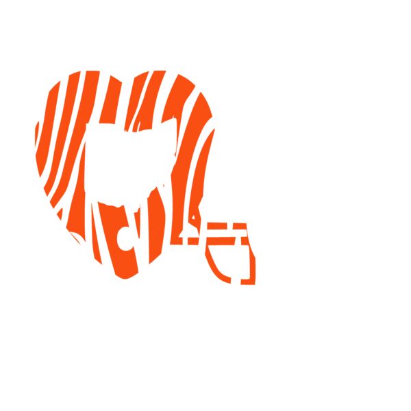 Cincinatti Football Love Thumbnail